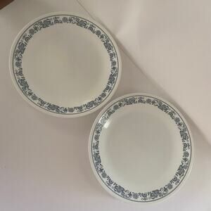 Corning Corelle Old Town Blue Onion 10 1/4" Dinner Plates Set 2 Vintage Vitrelle